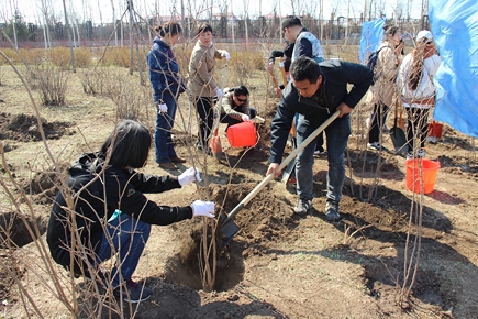 绿水青山就是金山银山，植树造林即是福泽万民——437ccm必赢国际首页欢迎您党员植树活动