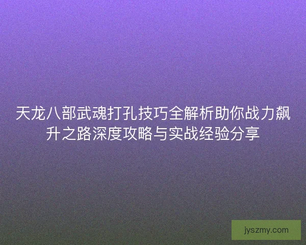天龙八部武魂打孔技巧全解析助你战力飙升之路深度攻略与实战经验分享